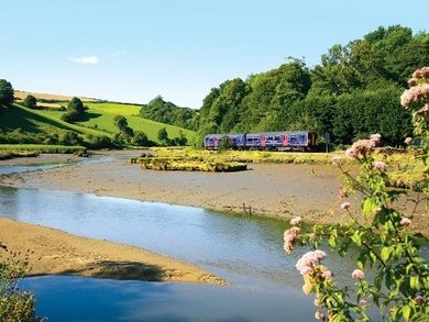 Looe valley line train