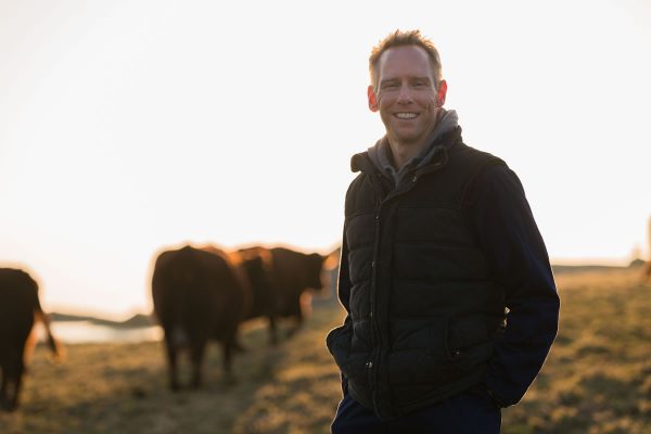 a grass-fed beef farm in cornwall