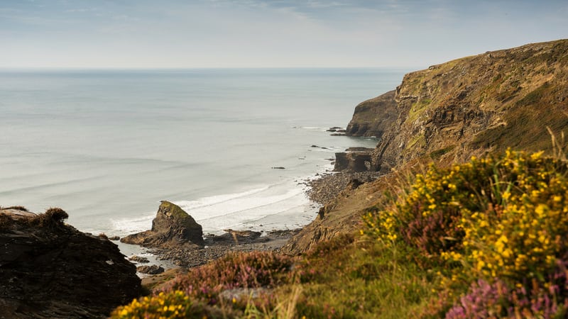 thomas hardy in cornwall